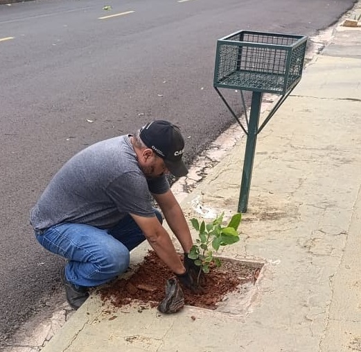 RELATORIO PLANTIO DE MUDAS NA CIDADE JANEIRO E FEVEREIRO 2026