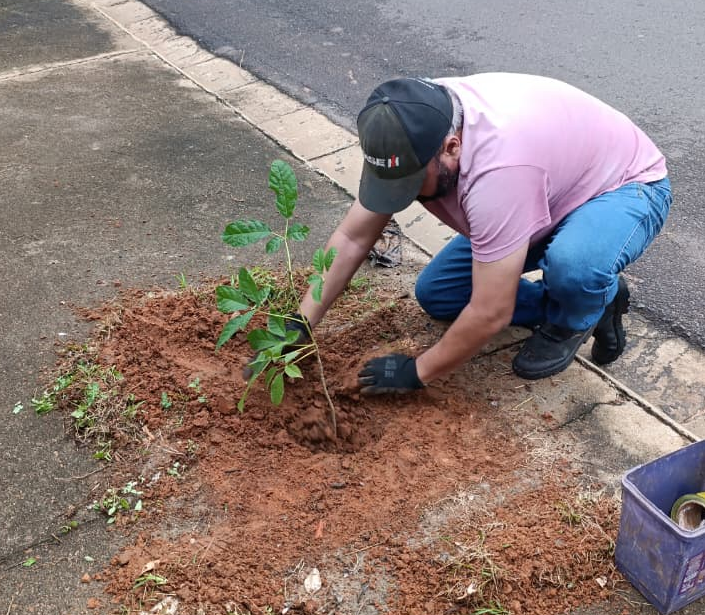 RELATORIO PLANTIO DE MUDAS NA CIDADE MARÇO 2026